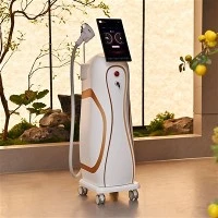 808nm 755nm 1064nm Dalga Boylarına Sahip Diod Lazer Epilasyon Makinesi